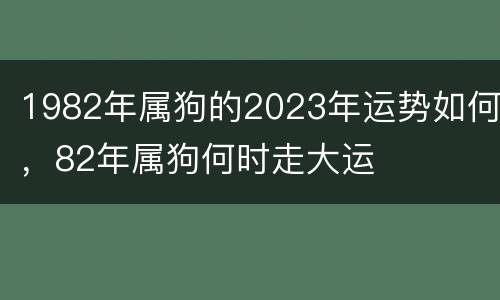 1982年属狗的2023年运势如何，82年属狗何时走大运