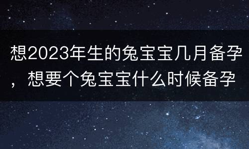 想2023年生的兔宝宝几月备孕，想要个兔宝宝什么时候备孕呢