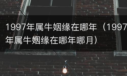 1997年属牛姻缘在哪年（1997年属牛姻缘在哪年哪月）