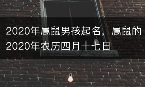 2020年属鼠男孩起名，属鼠的2020年农历四月十七日