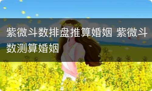 紫微斗数排盘推算婚姻 紫微斗数测算婚姻
