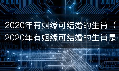 2020年有姻缘可结婚的生肖（2020年有姻缘可结婚的生肖是）