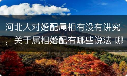 河北人对婚配属相有没有讲究，关于属相婚配有哪些说法 哪些属相不适合婚配