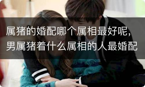 属猪的婚配哪个属相最好呢，男属猪着什么属相的人最婚配