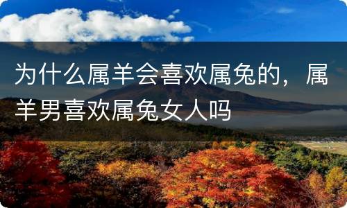 为什么属羊会喜欢属兔的，属羊男喜欢属兔女人吗