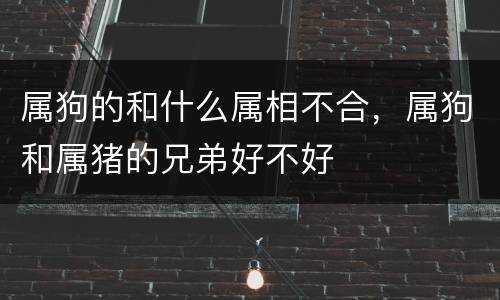 属狗的和什么属相不合，属狗和属猪的兄弟好不好
