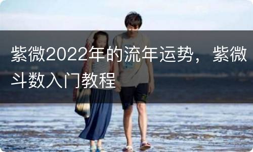 紫微2022年的流年运势，紫微斗数入门教程