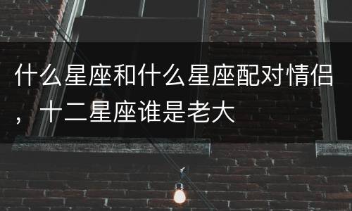 什么星座和什么星座配对情侣，十二星座谁是老大