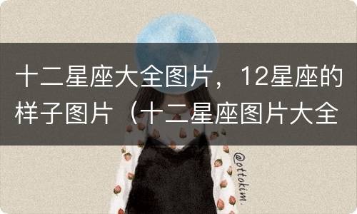 十二星座大全图片，12星座的样子图片（十二星座图片大全大图）