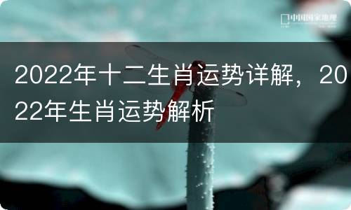 2022年十二生肖运势详解，2022年生肖运势解析