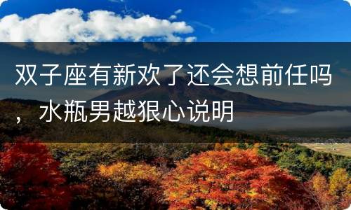 双子座有新欢了还会想前任吗，水瓶男越狠心说明