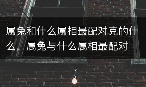 属兔和什么属相最配对克的什么，属兔与什么属相最配对