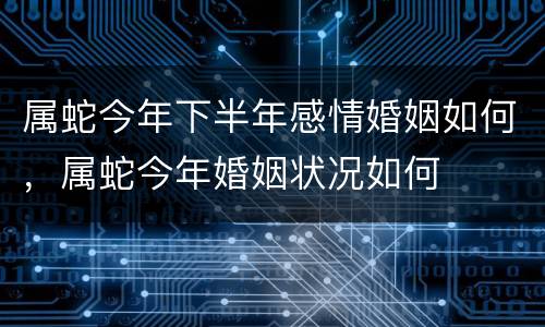 属蛇今年下半年感情婚姻如何，属蛇今年婚姻状况如何