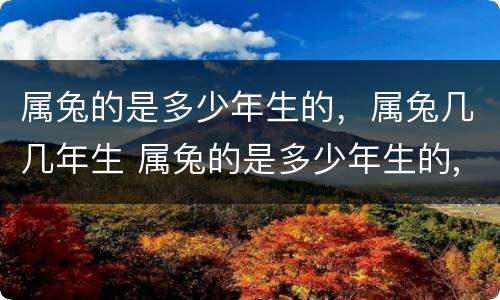 属兔的是多少年生的，属兔几几年生 属兔的是多少年生的,属兔几几年生的