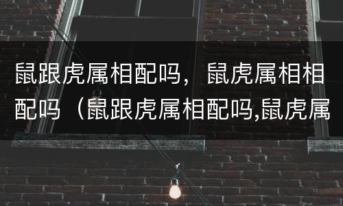 鼠跟虎属相配吗，鼠虎属相相配吗（鼠跟虎属相配吗,鼠虎属相相配吗）