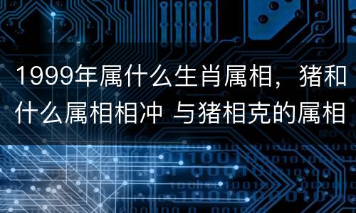 1999年属什么生肖属相，猪和什么属相相冲 与猪相克的属相