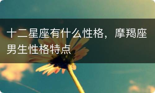 十二星座有什么性格，摩羯座男生性格特点