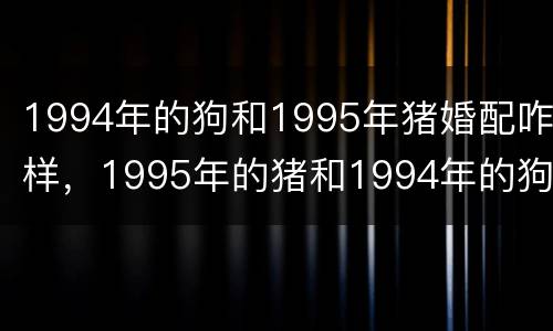 1994年的狗和1995年猪婚配咋样，1995年的猪和1994年的狗配