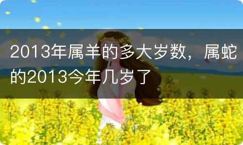 2013年属羊的多大岁数，属蛇的2013今年几岁了