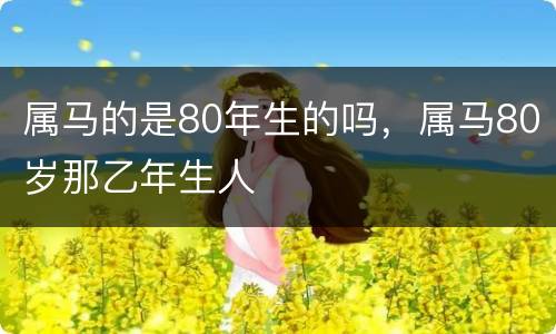 属马的是80年生的吗，属马80岁那乙年生人
