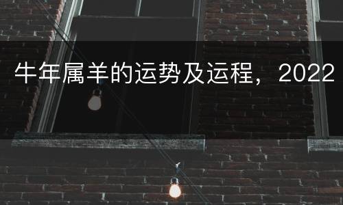 牛年属羊的运势及运程，2022