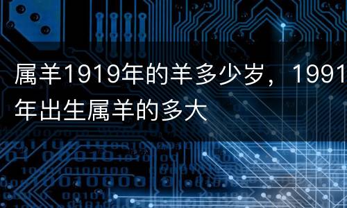 属羊1919年的羊多少岁，1991年出生属羊的多大