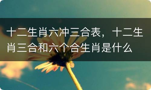 十二生肖六冲三合表，十二生肖三合和六个合生肖是什么