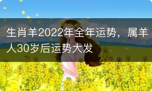 生肖羊2022年全年运势，属羊人30岁后运势大发