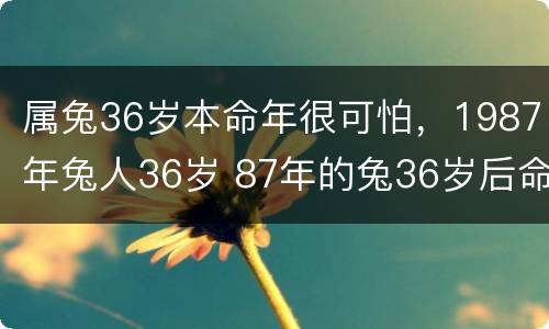 属兔36岁本命年很可怕，1987年兔人36岁 87年的兔36岁后命好