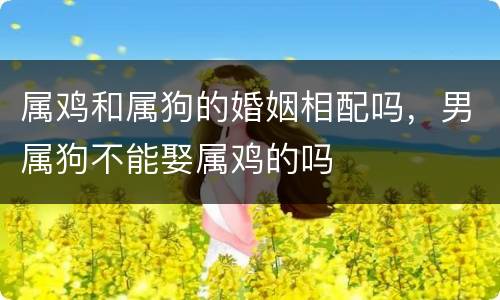 属鸡和属狗的婚姻相配吗，男属狗不能娶属鸡的吗