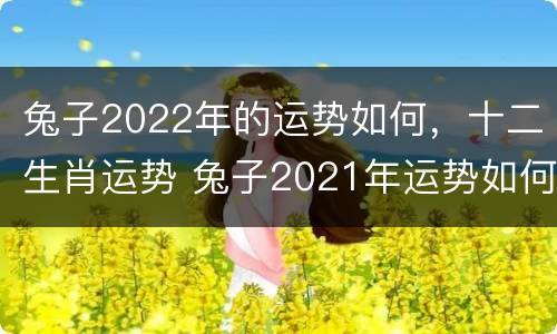 兔子2022年的运势如何，十二生肖运势 兔子2021年运势如何