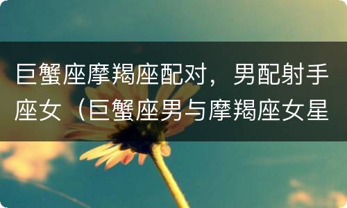 巨蟹座摩羯座配对，男配射手座女（巨蟹座男与摩羯座女星座配对）