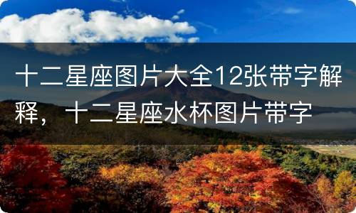 十二星座图片大全12张带字解释，十二星座水杯图片带字
