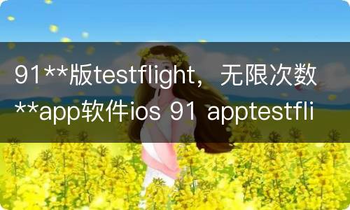 91**版testflight，无限次数**app软件ios 91 apptestflight安装