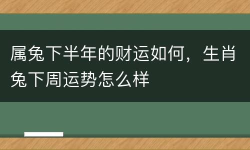 属兔下半年的财运如何，生肖兔下周运势怎么样
