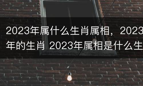 2023年属什么生肖属相，2023年的生肖 2023年属相是什么生肖
