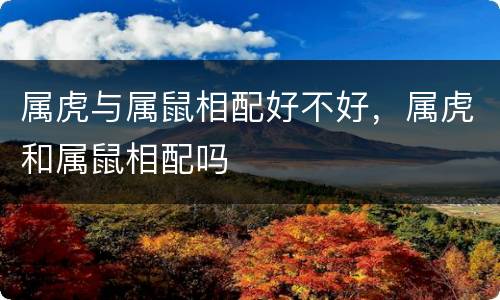 属虎与属鼠相配好不好，属虎和属鼠相配吗