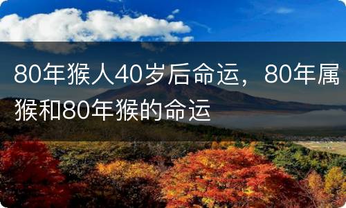 80年猴人40岁后命运，80年属猴和80年猴的命运