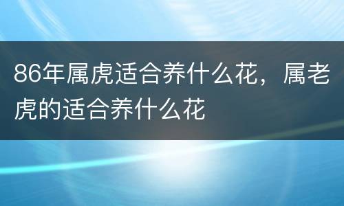86年属虎适合养什么花，属老虎的适合养什么花