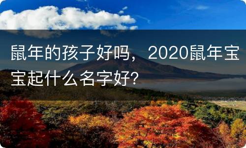 鼠年的孩子好吗，2020鼠年宝宝起什么名字好？
