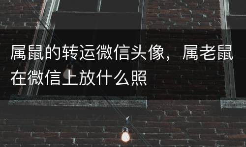属鼠的转运微信头像，属老鼠在微信上放什么照