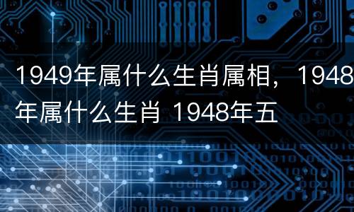 1949年属什么生肖属相，1948年属什么生肖 1948年五