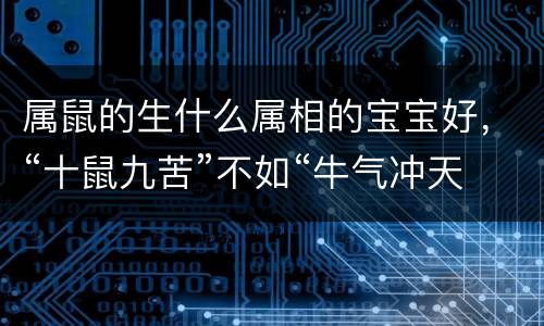 属鼠的生什么属相的宝宝好，“十鼠九苦”不如“牛气冲天”，年底