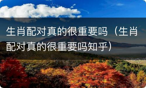 生肖配对真的很重要吗（生肖配对真的很重要吗知乎）