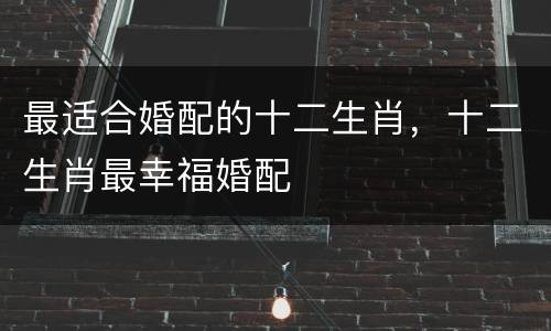 最适合婚配的十二生肖，十二生肖最幸福婚配