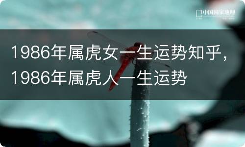 1986年属虎女一生运势知乎，1986年属虎人一生运势