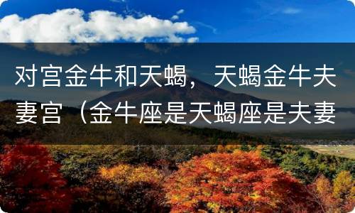 对宫金牛和天蝎，天蝎金牛夫妻宫（金牛座是天蝎座是夫妻对宫吗）
