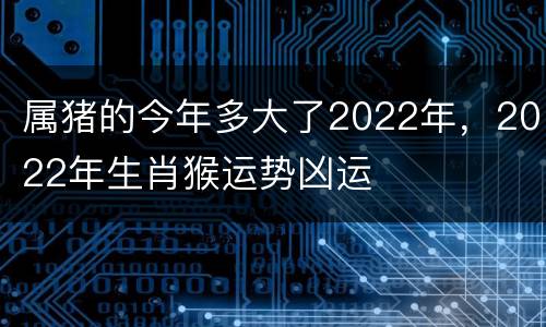 属猪的今年多大了2022年，2022年生肖猴运势凶运