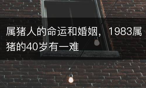 属猪人的命运和婚姻，1983属猪的40岁有一难