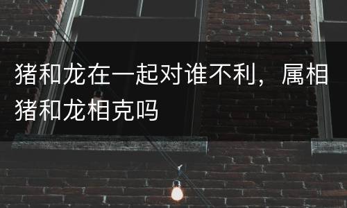 猪和龙在一起对谁不利，属相猪和龙相克吗